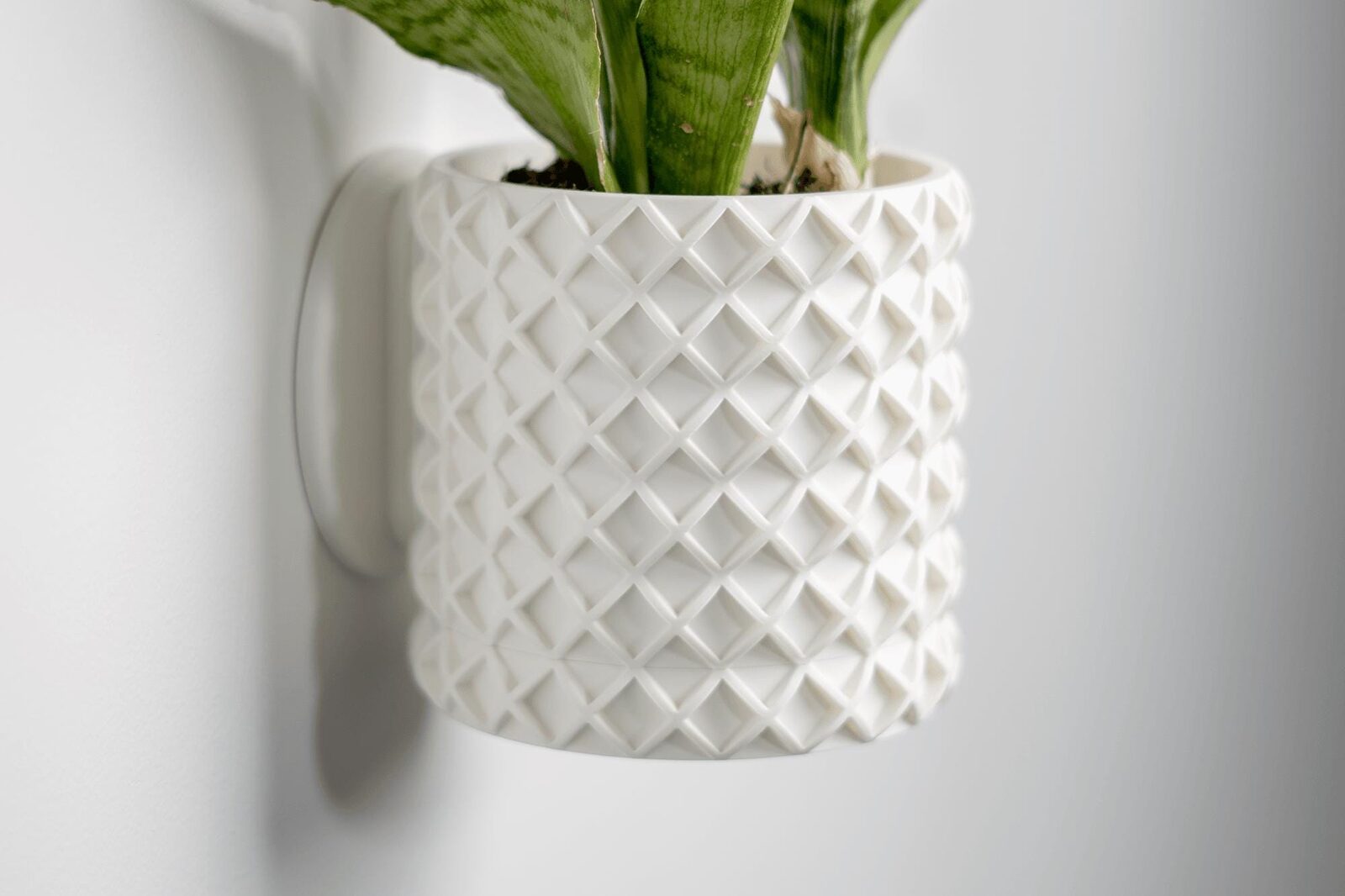 Open Lattice Planter