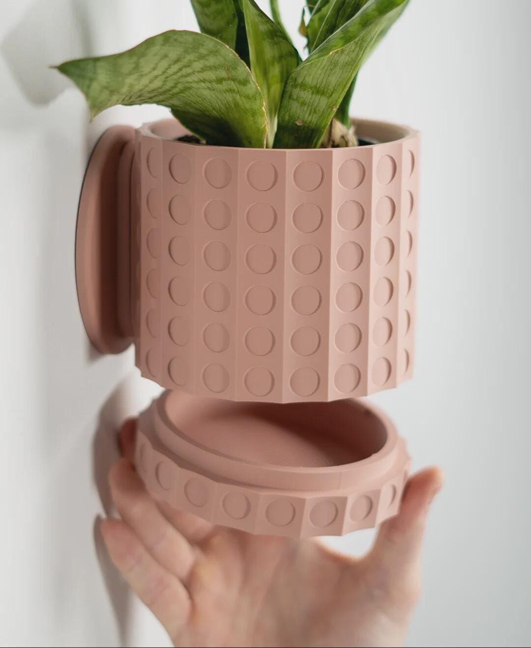Minimalist Succulent Planter