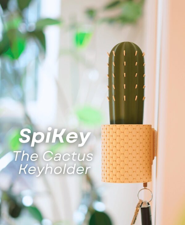 il_fullxfull.8218415656_gjbj.jpg Spikey Interactive Cactus Key Holder | Mechanical Wall Planter