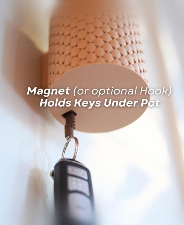 il_fullxfull.8218418018_e319.jpg Spikey Interactive Cactus Key Holder | Mechanical Wall Planter