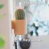 il_fullxfull.8220013766_461f.jpg CactiKeys Blooming Cactus Key Holder | Interactive Mechanical Wall Planter