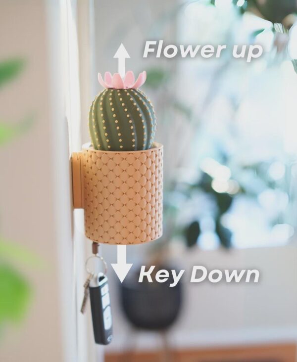 il_fullxfull.8220013766_461f.jpg CactiKeys Blooming Cactus Key Holder | Interactive Mechanical Wall Planter