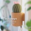 il_fullxfull.8220013776_14vt.jpg CactiKeys Blooming Cactus Key Holder | Interactive Mechanical Wall Planter