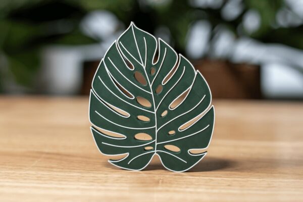 Monstera Leaf Fridge Magnet  | Tropical Plant Lover Gift
