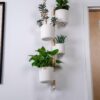 il_fullxfull.8231401568_eszq.jpg Modular Wall Rail System