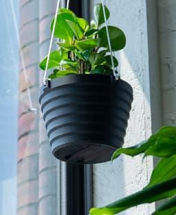il_fullxfull.8231512208_dgqq.jpg Hanging Planter with Removable Drip Tray