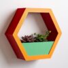 il_fullxfull.8232927120_lt4k.jpg Hexagon Wall Planter