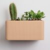 il_fullxfull.8237145452_cuos.jpg Rectangular Wall Planter with Hidden Drip Tray
