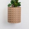 Tabletop Planter with Hidden Drip Tray
