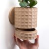 Tabletop Planter with Hidden Drip Tray