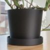 Large Modern Planter with Removable Drip Tray