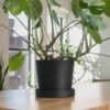 Large Modern Planter with Removable Drip Tray