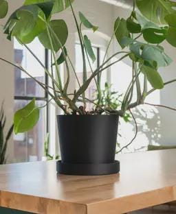 Large Modern Planter with Removable Drip Tray