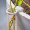 il_fullxfull.8237416080_is14.jpg Plant Propagation Stake with Test Tube Holder