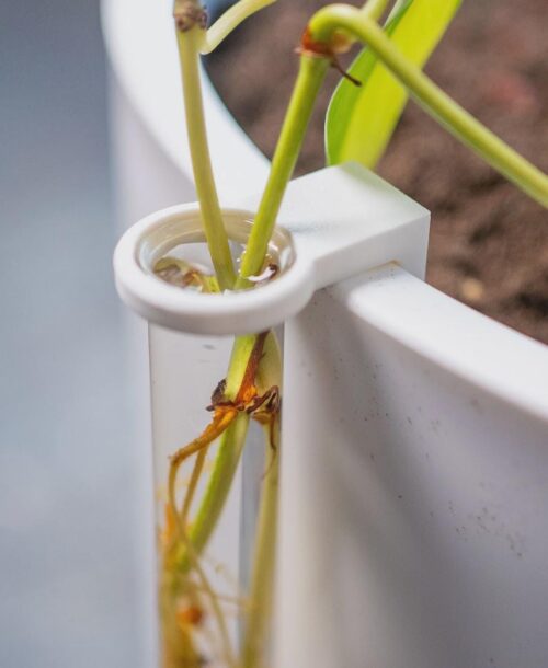 il_fullxfull.8237416080_is14.jpg Plant Propagation Stake with Test Tube Holder