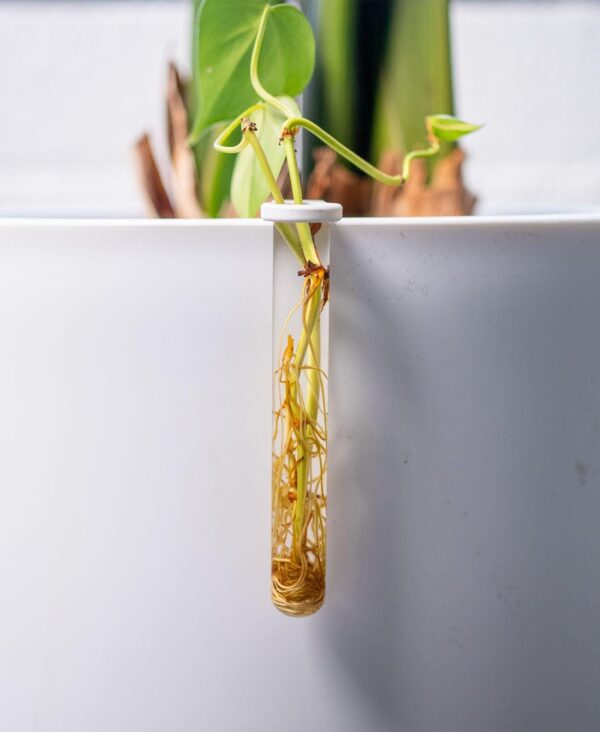 il_fullxfull.8237416090_ph4s.jpg Plant Propagation Stake with Test Tube Holder
