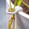 il_fullxfull.8237416102_2l6x.jpg Plant Propagation Stake with Test Tube Holder