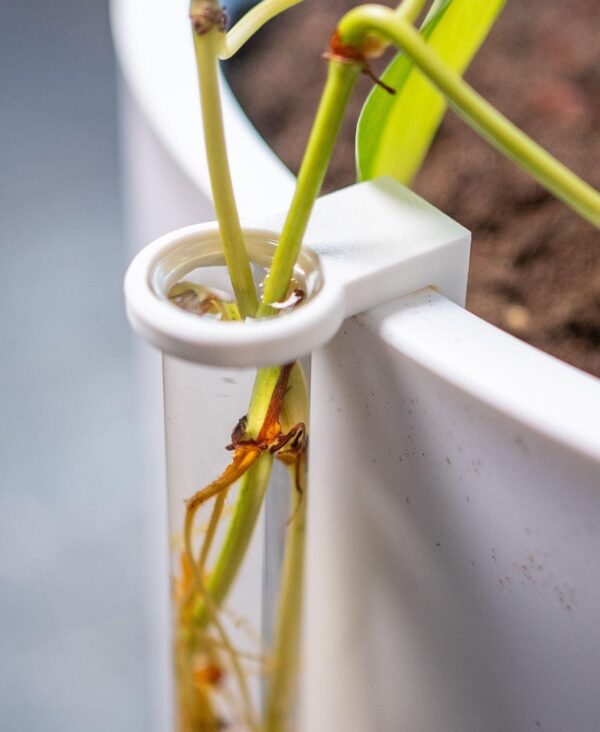 il_fullxfull.8237416102_2l6x.jpg Plant Propagation Stake with Test Tube Holder