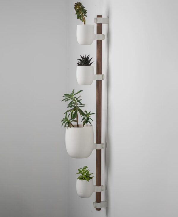 il_fullxfull.8247573782_h7ai.jpg The Rail Modular Plant Display System
