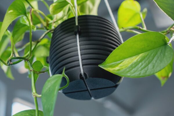 il_fullxfull.8247686712_9qvv.jpg Hanging Planter with Macrame Holes