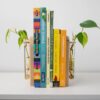 il_fullxfull.8247913740_8zjt.jpg Propagation Station Bookends