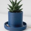 Succulent Planter with Jewelry Tray | Hidden Drip Tray