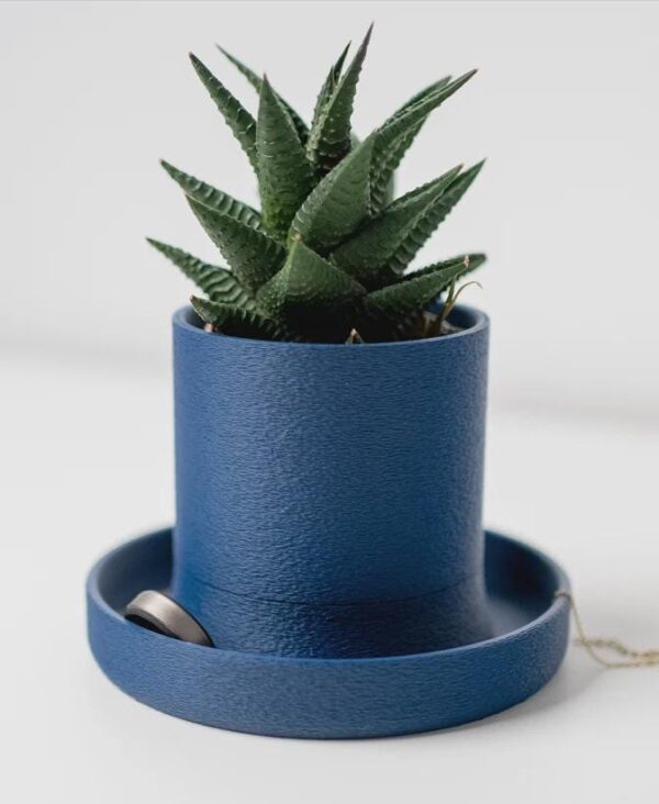 Succulent Planter with Jewelry Tray | Hidden Drip Tray