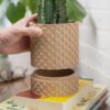 Modern Planter with Hidden Drip Tray | Minimalist Indoor Planter