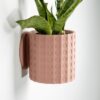 Modern Planter with Hidden Twist-Off Drip Tray | Minimalist Succulent Planter
