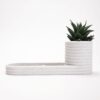 Poppy Valet Tray | Plant Pot & Desk Organizer Combo