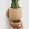 il_fullxfull.8256864542_nzjv.jpg Sliding Dovetail Wall Planter | Wall Mounted or Tabletop Planter