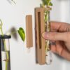 il_fullxfull.8256908040_sxto.jpg Plant Propagation Station | Indoor Garden Decor