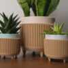 il_fullxfull.8265474252_nwp8.jpg Modern Minimalist Planter | Succulent Pot Available in 3 Sizes