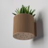il_fullxfull.8265575438_5ak4.jpg Modern Wall Plant Pot | Detachable Indoor Planter