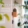 il_fullxfull.8267940947_n3bn.jpg CactiKeys Blooming Cactus Key Holder | Interactive Mechanical Wall Planter