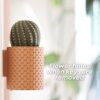 il_fullxfull.8267948363_3fj3.jpg CactiKeys Blooming Cactus Key Holder | Interactive Mechanical Wall Planter