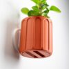Hidden Drip Tray Wall Planter