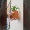 Hidden Drip Tray Wall Planter