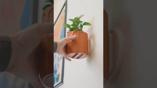 Hidden Drip Tray Wall Planter