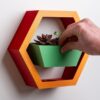 il_fullxfull.8280841095_c1zk.jpg Hexagon Wall Planter