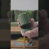 Tabletop Planter with Hidden Drip Tray