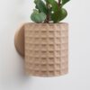 Tabletop Planter with Hidden Drip Tray
