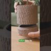 Tree Bark Planter
