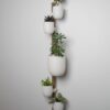 il_fullxfull.8295490215_71eq.jpg The Rail Modular Plant Display System