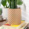 Modern Planter with Hidden Drip Tray | Minimalist Indoor Planter