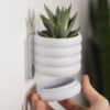 il_fullxfull.8299931137_48ln.jpg Poppy Wall Planter | Minimalist Hanging Planter | Contemporary Home Decor