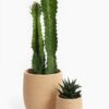 il_fullxfull.8304778475_mo3j.jpg Sliding Dovetail Wall Planter | Wall Mounted or Tabletop Planter
