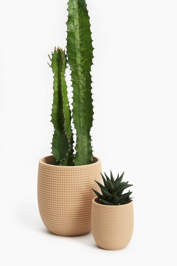 il_fullxfull.8304778475_mo3j.jpg Sliding Dovetail Wall Planter | Wall Mounted or Tabletop Planter