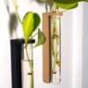 il_fullxfull.8304821485_anh5.jpg Plant Propagation Station | Indoor Garden Decor