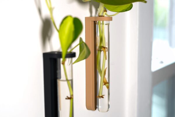 il_fullxfull.8304821485_anh5.jpg Plant Propagation Station | Indoor Garden Decor
